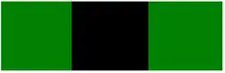 SANDF era type 2 Infantry Beret bar