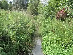 Mimmshall Brook