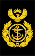 South African Navy[15]
