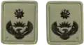 Lt Colonel embossed badge