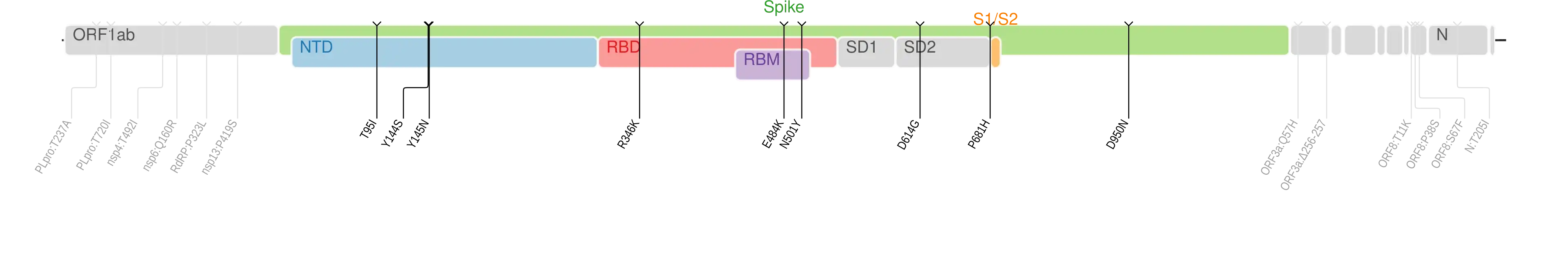 Amino acid mutations of SARS-CoV-2 Mu variant plotted on a genome map of SARS-CoV-2 with a focus on the spike.[14]