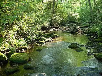 Creek