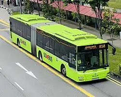 Image 139A MAN Lion's City A24 articulated bus operated by Tower Transit Singapore (from Articulated bus)