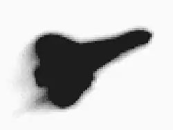 Fuzzy black-and-white photo of the orbiter during reentry