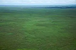 Beni Biosphere Reserve