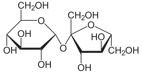 Haworth projection of sucrose