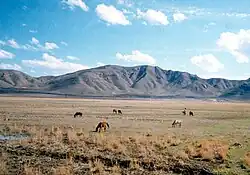 Mountain