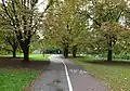 Path in Sady Żoliborskie Park