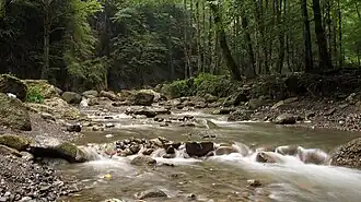 Landscape along the Safarud River