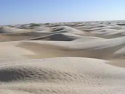 A photograph of sand dunes in the Sahara Desert near Tozeur in Tunisia