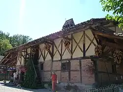 Mangettes farm