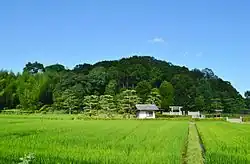 A green, tree-covered tumulus in a grassy environment