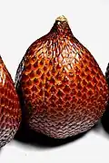 Close-up of salak showing its snake-like skin