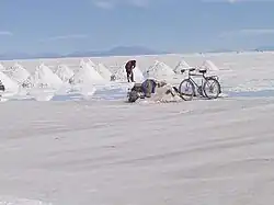 A farmer is digging salt on the Salar de Uyuni