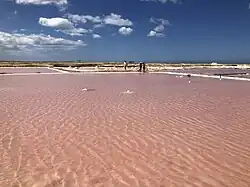 Salt evaporation pond in Manaure, La Guajira, Colombia