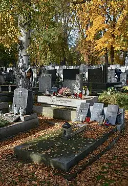 Zbigniew Pronaszko (painter and sculptor) tomb