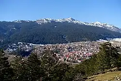 Panoramic view