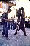 A dancing bear around 1970 in Samsun. His holder beats the frame drum Def.