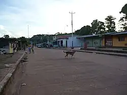 A wide empty street with a stray dog walking through
