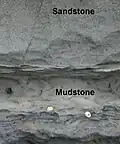 Close up of sandstone and mudstone layers