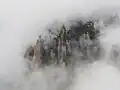 South slope of Sanqingshan in fog
