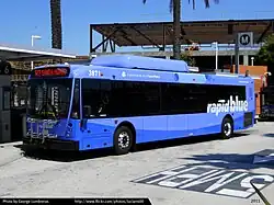 Santa_Monica_RapidBlue_NABI_40-LFW_3871