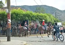 Horses in the Town