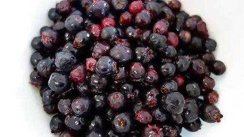 Saskatoon berries