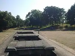 Sasu Ni Vav