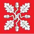 Flag of Saue Parish