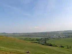 Șăulița