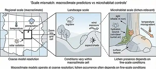 Diagram comparing regional macroclimate models with landscape and microhabitat scales, showing that coarse climate variables contrast with fine-scale factors like shade, hydration, wind exposure, and surface texture that affect lichen occurrence