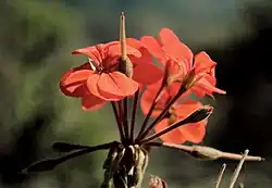 ""