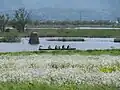 Lake Fukushimagata