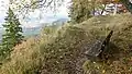 On the Oberhohenberg (1,010.7&nbsp;m) – second highest elevation of the Swabian Jura