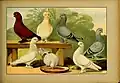 Schachtzabel 1906 Tafel 88
