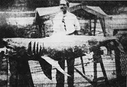 Image 16Michael Schleisser and the "Jersey man-eater" as seen in the Bronx Home News (1916) (from History of New Jersey)