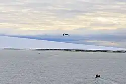 The ice cap covering Schmidt Island
