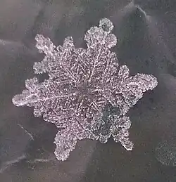 Snowflakes can turn into graupel.