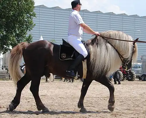 a man riding a horse
