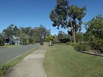Scoparia Drive, 2016
