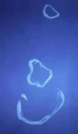 Image of Scott and Seringapatam Reefs taken from spacecraft at 359 km altitude on 29 November 1996.