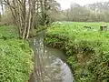 Scrase Valley