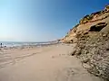 Scripps Beach
