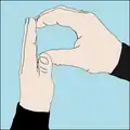 P for plastic: Form a "P" with both hands, signaling plastic is spotted and will be picked up.[42]