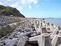 Modular concrete block riprap, in the form of Dolos