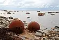 Sea mine shells