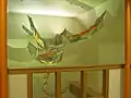 Seahorses (viewed from balcony) by Susan Mohl Powers