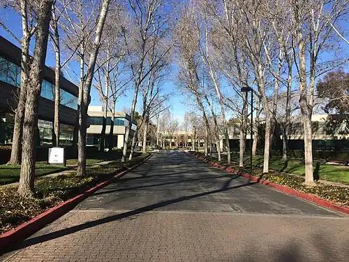 View down Saginaw Drive
