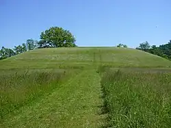 Seip Earthworks and Dill Mounds District